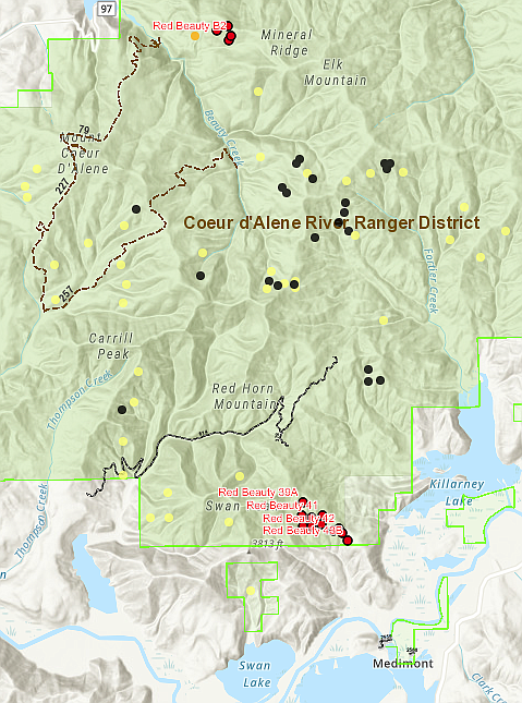 Map depicting the Red Beauty prescribed burn areas near Medimont and Killarney Lake.