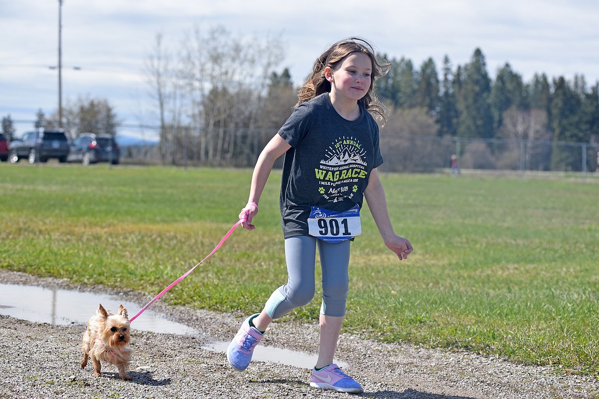 Runners and their dogs participated in the WAG Race Sunday morning beginning and ending at the WAG dog park. The race is annual fundraiser for the park.  (Heidi Desch/Whitefish Pilot)