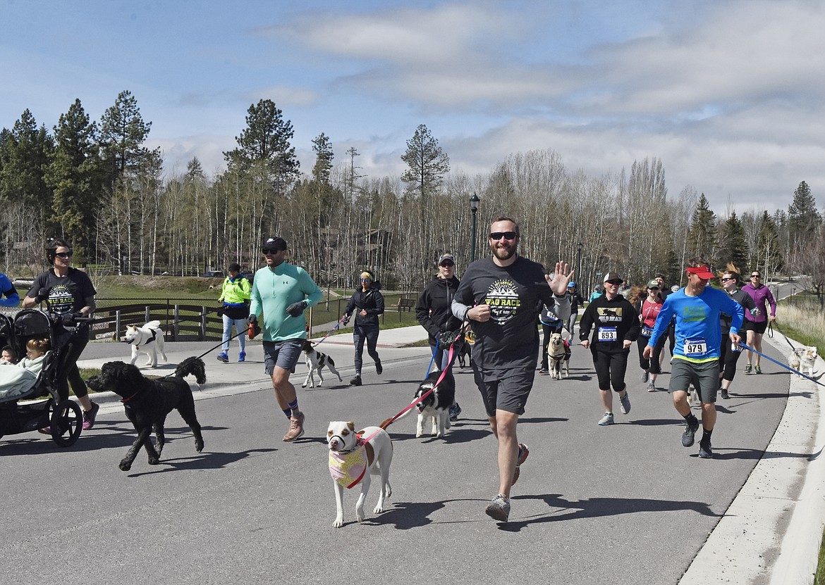 Runners and their dogs participated in the WAG Race Sunday morning beginning and ending at the WAG dog park. The race is annual fundraiser for the park.  (Heidi Desch/Whitefish Pilot)