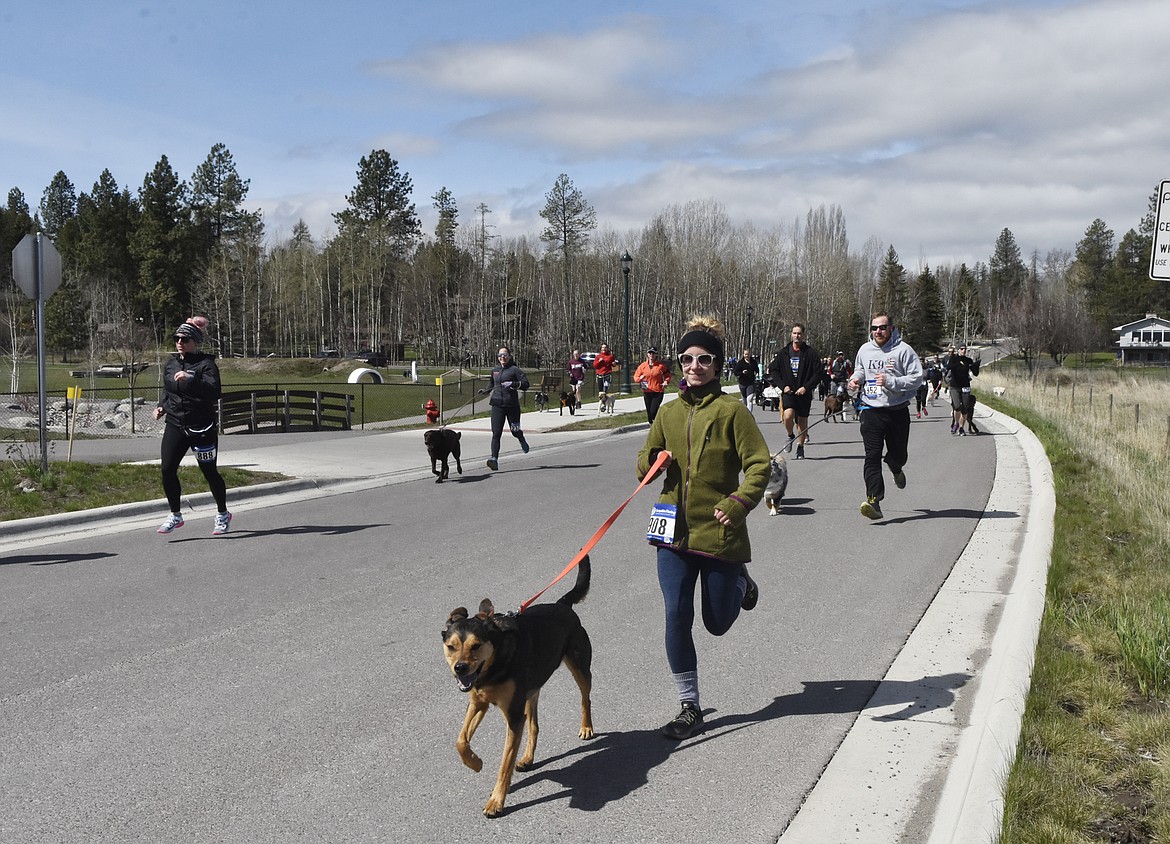 Runners and their dogs participated in the WAG Race Sunday morning beginning and ending at the WAG dog park. The race is annual fundraiser for the park.  (Heidi Desch/Whitefish Pilot)