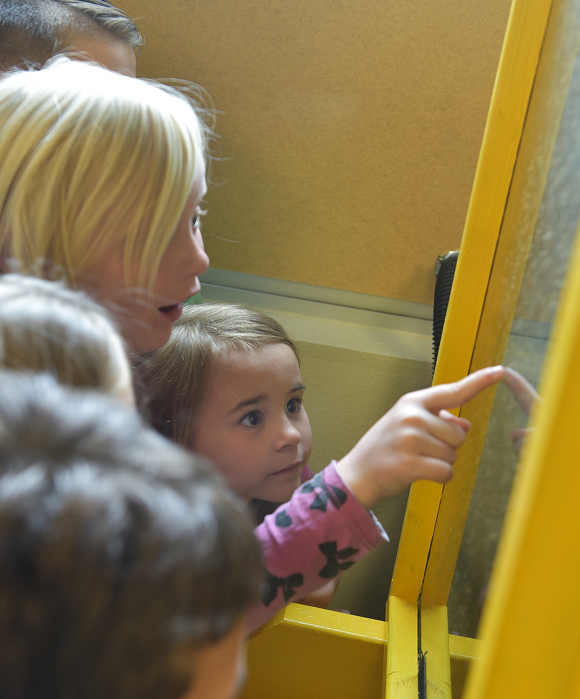 GRAYCEE COBB looks on as Lyndsey Mooney points out the bee particulars in Ms. Hillerman&#146;s kindergarten classroom. (Carolyn Hidy/Clark Fork Valley Press)