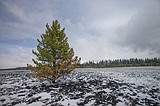 Glacier completes prescribed burn up the North Fork