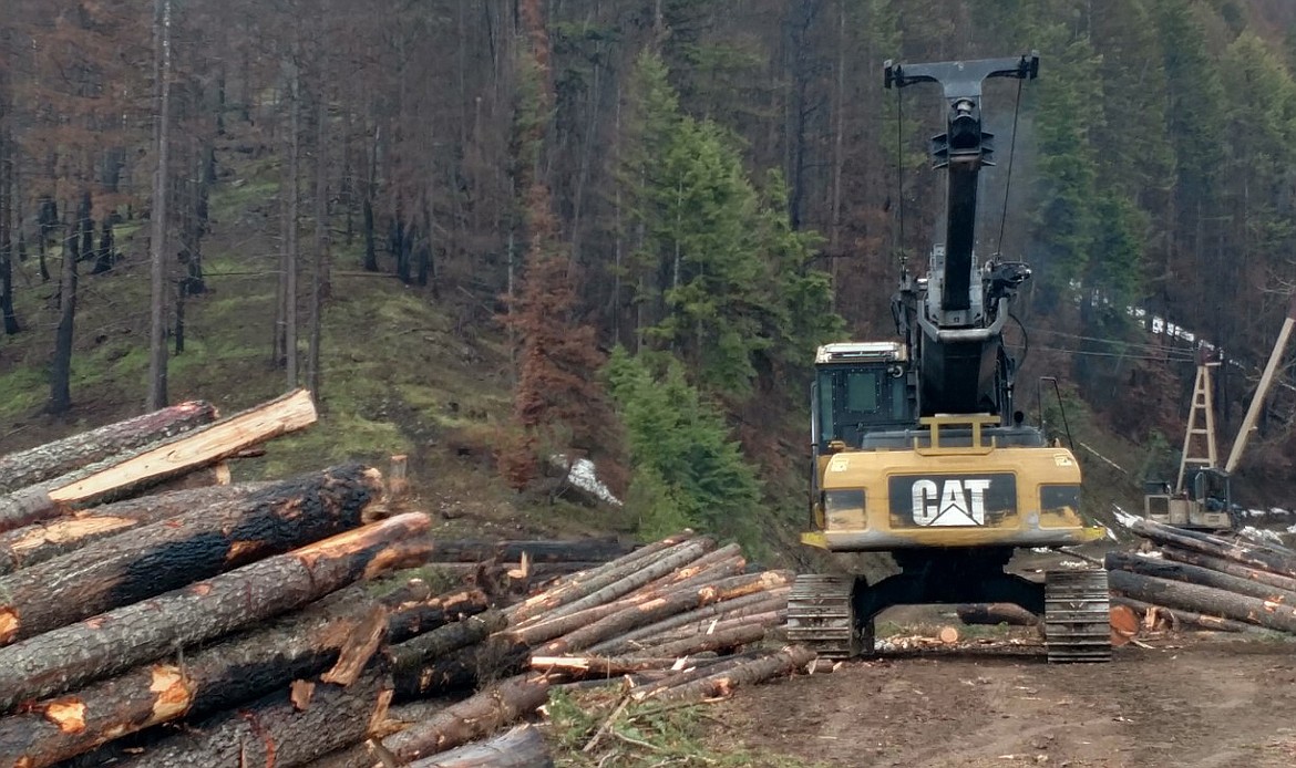 LOGS ARE rolling out of the Cub Creek Fire Salvage, which was planned and sold, and started operations by the summer after the fire with collaboration from a wide range of community interests. (Carolyn Hidy photos/Clark Fork Valley Press)