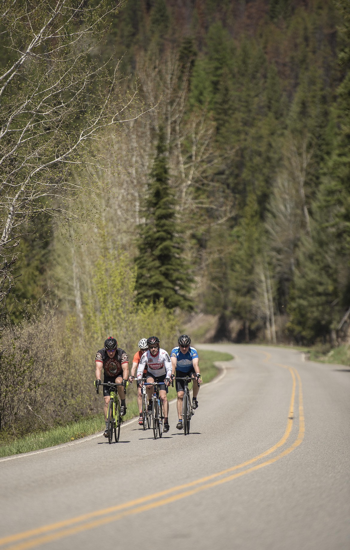 Bicyclist ride down Pipe Creek Road at the Scenic Tour of the Kootenai River fundraising event, Saturday. (Luke Hollister/The Western News)