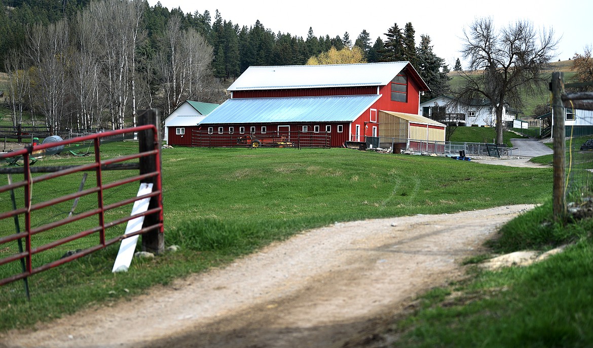 A view of the Montana Emu Ranch west of Kalispell on Wednesday, May 1.(Brenda Ahearn/Daily Inter Lake)