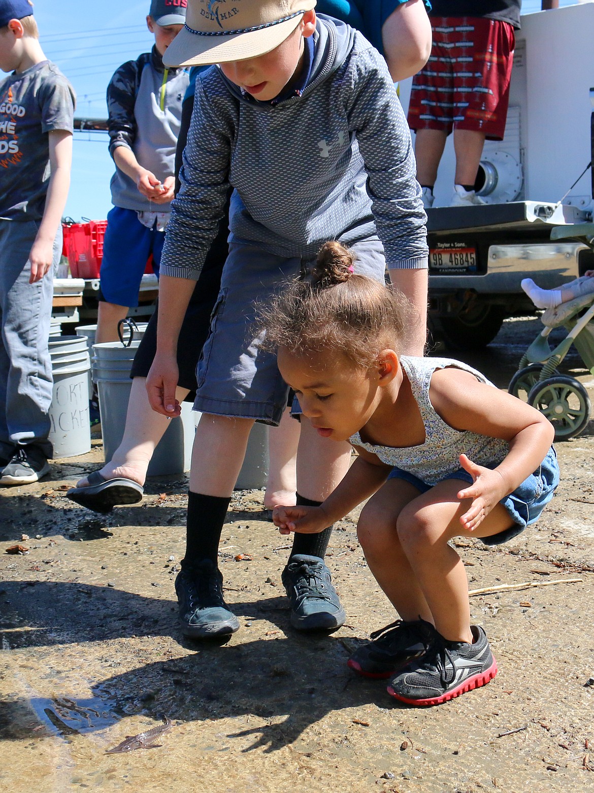 Photo by MANDI BATEMAN
Being able to participate in releasing the young sturgeon helps to connect children to them.