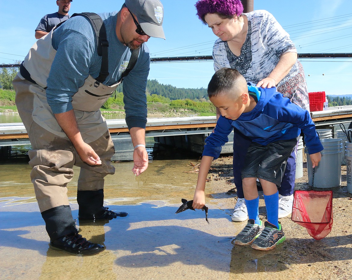 Photo by MANDI BATEMAN
Mark Elliston, Jr., Aquacultural Technician for the Kootenai Tribe, oversaw the sturgeon release from the water, answering questions and making sure that the sturgeon were handled carefully.