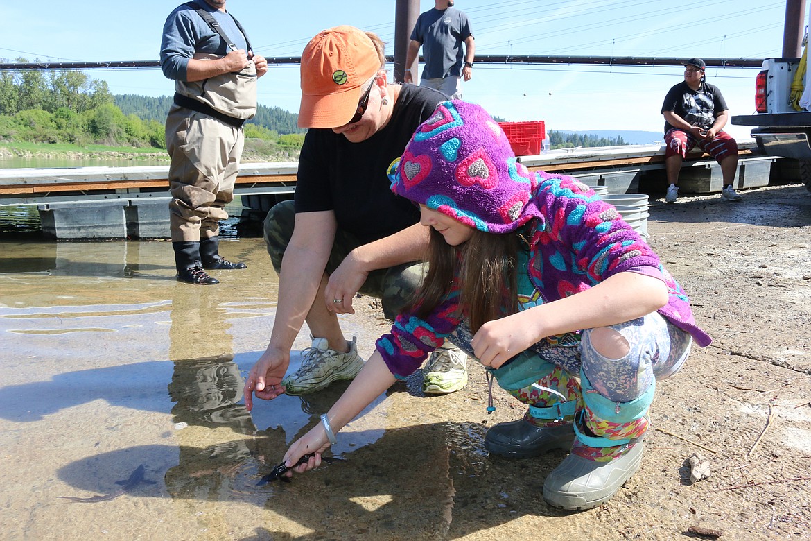 Photo by MANDI BATEMAN
Stephanie Alexander and her daughter Ella, release sturgeon together.