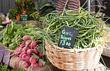 Farm Hands looks to feed youth, elderly, this summer