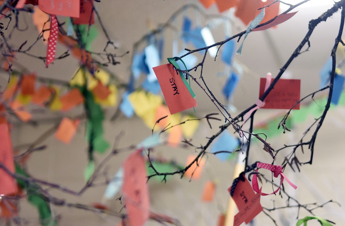 Cards containing wishes written by Muldown Elementary students hang from branches as part of the school&#146;s wish tree in the main hallway of the school. Students wrote the cards after reading the book the &#147;Wishtree.&#148; Different color cards were used for each grade at the school. (Heidi Desch/Whitefish Pilot)