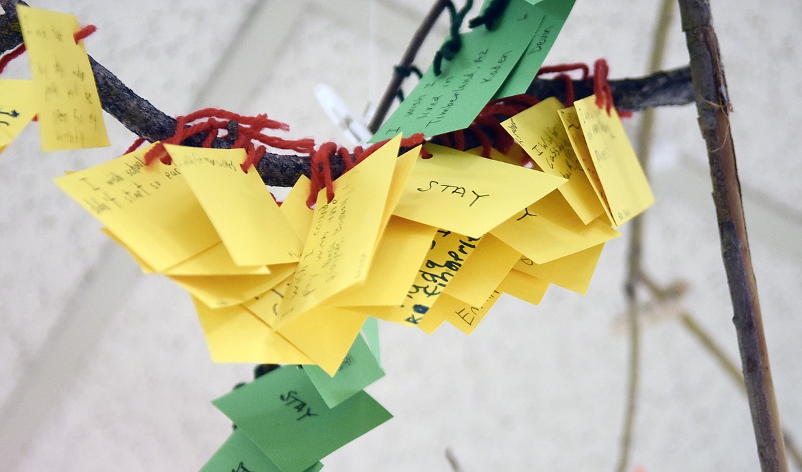 Cards containing wishes written by Muldown Elementary students hang from branches as part of the school&#146;s wish tree in the main hallway of the school. Students wrote the cards after reading the book the &#147;Wishtree.&#148; (Heidi Desch/Whitefish Pilot)