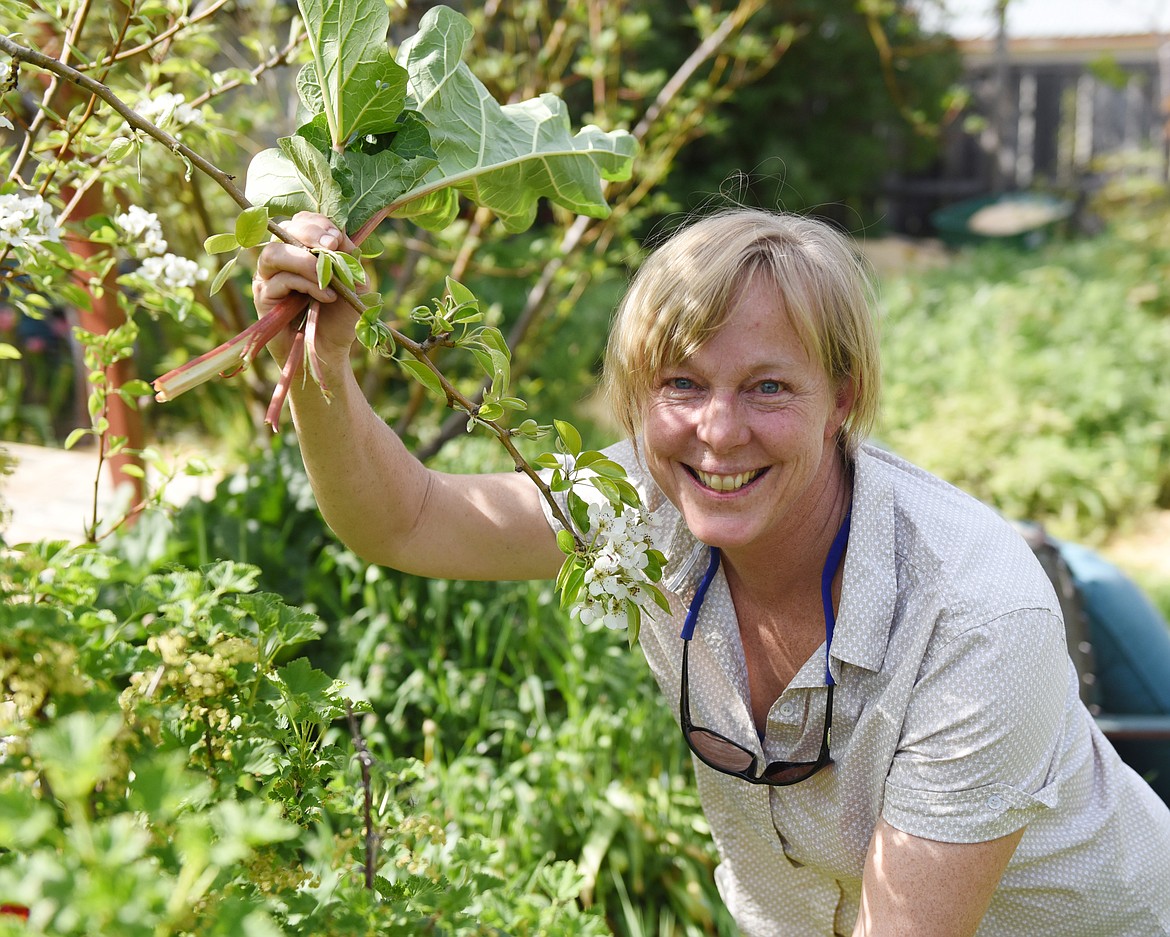 KELLY WARE shows a sample of the variety of vegetable and flowering plants in her garden. Here, she holds a rhubarb plant and the branch of a fruit tree.