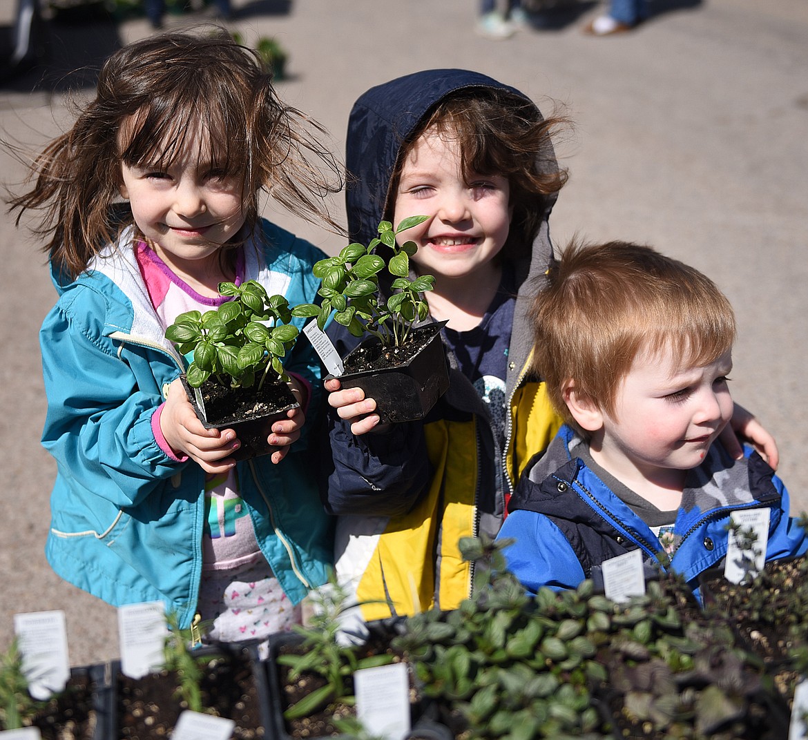 ATTENDING A Farmers Market can be a family affair. From left, Caitlyn, Claire and David Rice help their mom Amanda shop for basil to make homemade pesto. They patronized Nicole Jarvis&#146; Ploughshare Farms booth.