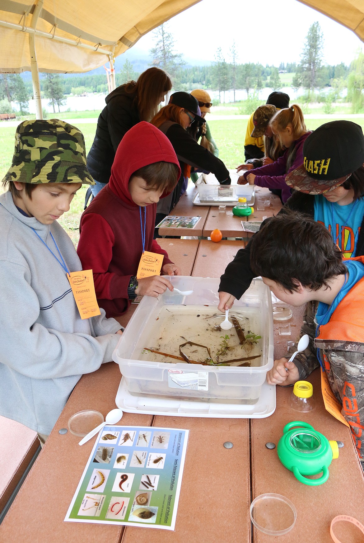 (Photo by MARY MALONE)
Idaho Hill Elementary fifth-graders get hands-on with aquatic macroinvertebrates during the 24th annual Pend Oreille Water Festival last Friday.