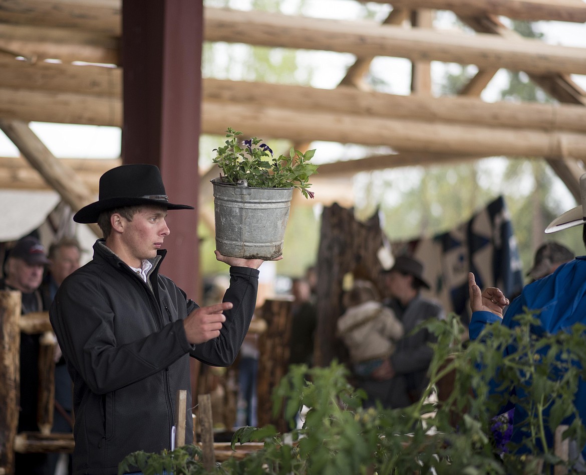 An organizer searches for a bidder on a potted plant during the annual amish Eagle Valley Community Auction, May 18. (Luke Hollister/The Western News)