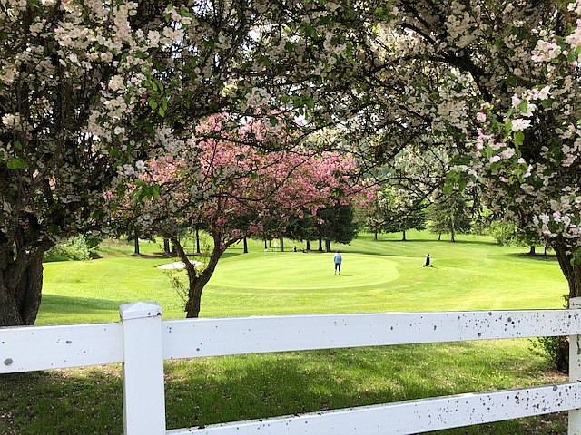 (Courtesy Photo)
Mirror Lake Ladies on Hole 9 green.