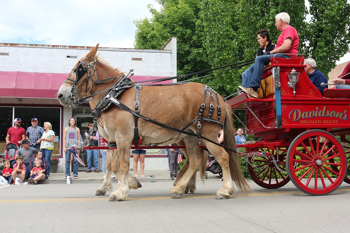 Photo by MANDI BATEMAN
Memorial Day Parade.