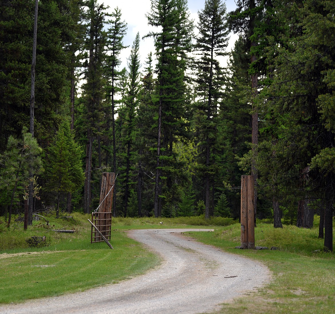 View of the scenic drive at Camp Ponderosa.(Brenda Ahearn/Daily Inter Lake)