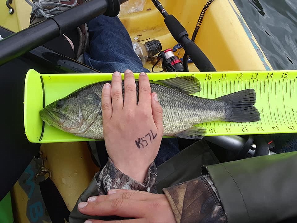 Ridley Foil measures a bass he caught this year during a Fernan Lake kayak fishing tournament. (PHOTO/Tandi Foil)