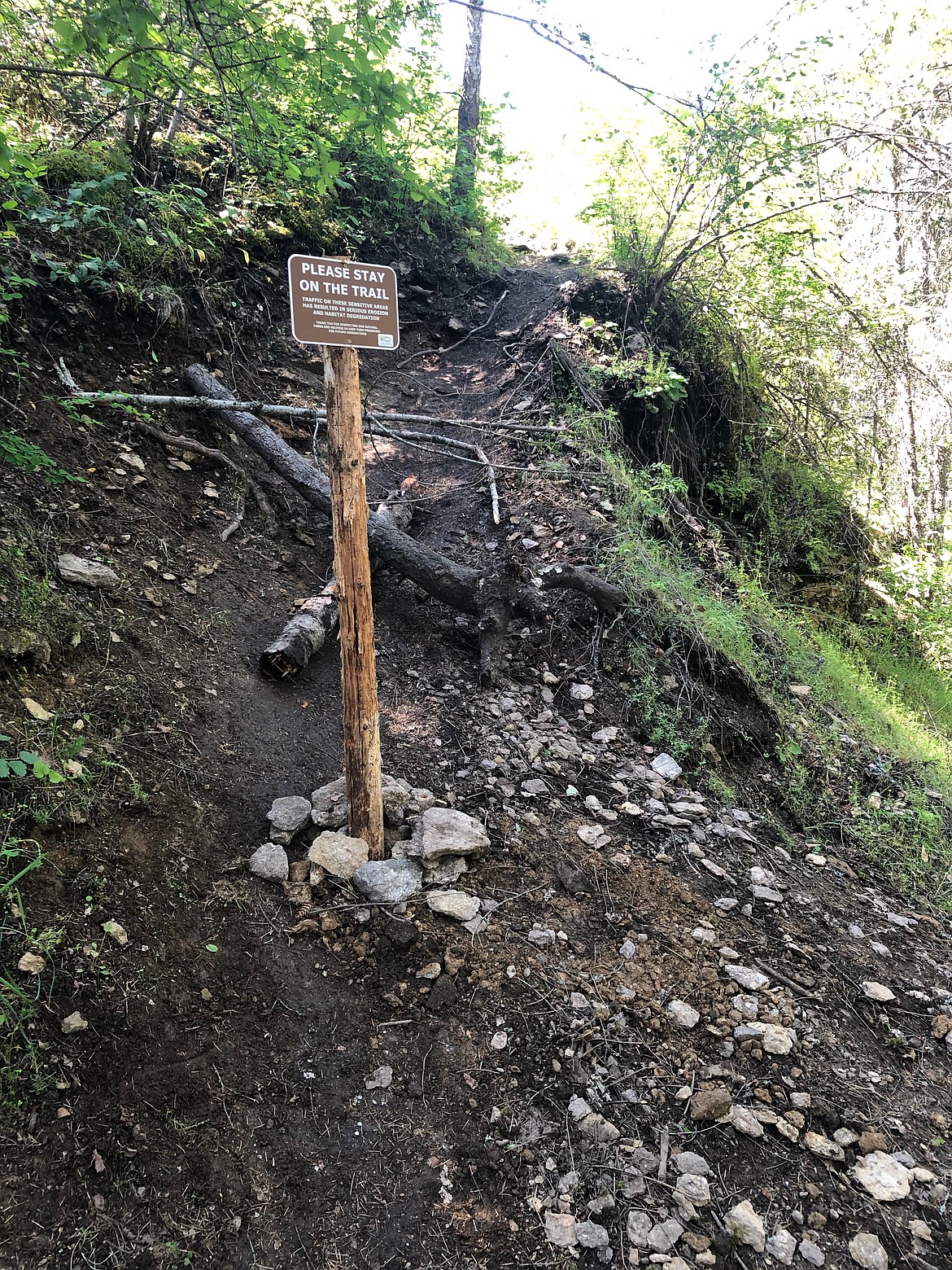 The unofficial trails on Tubbs Hill can be dangerous to hikers and damage the hill. About 30 Lake City High School students volunteered on Tuesday to help make official trail posts more visible.