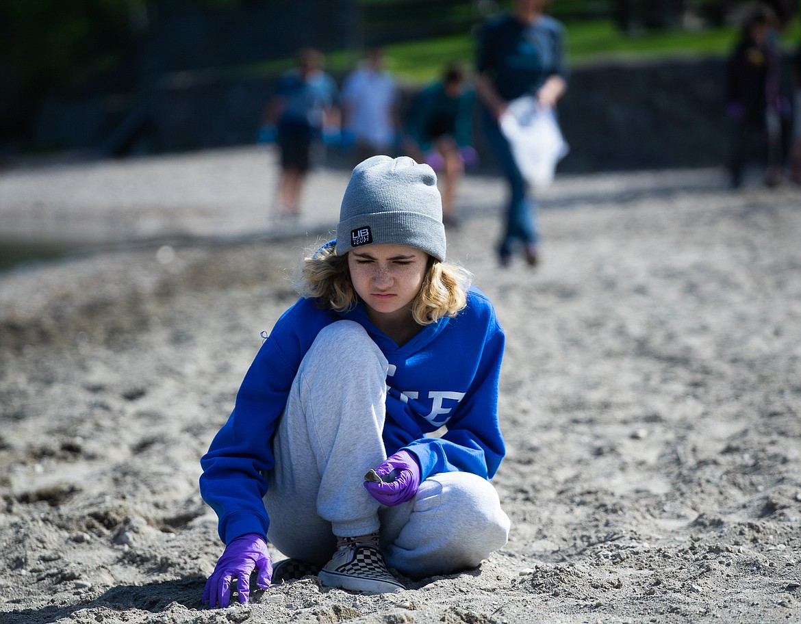 Libby Hairston searches for mussels on City Beach during the Mussel Walk. (Daniel McKay/Whitefish Pilot)