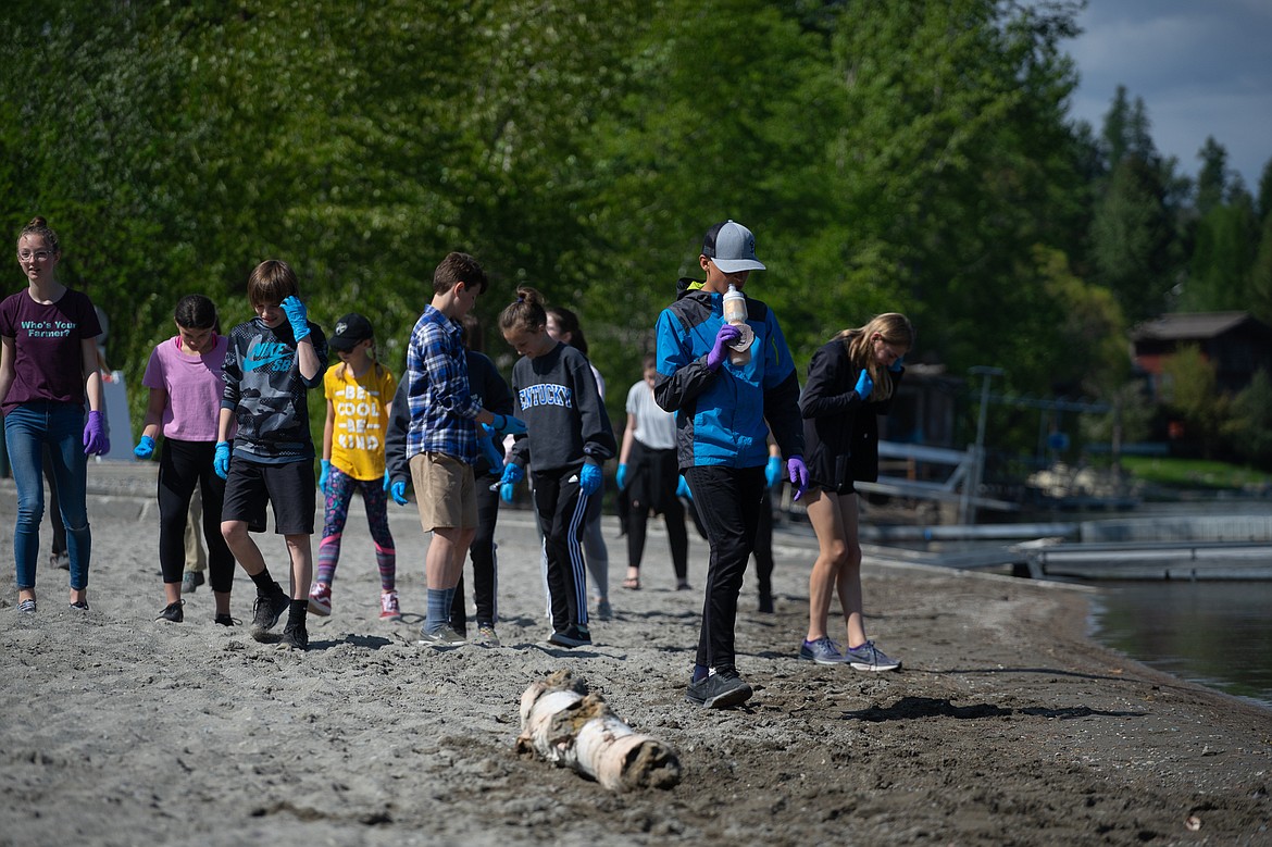 Ryder Barinoski inspects City Beach for aquatic invasive species during the Mussel Walk last week. (Daniel McKay/Whitefish Pilot)