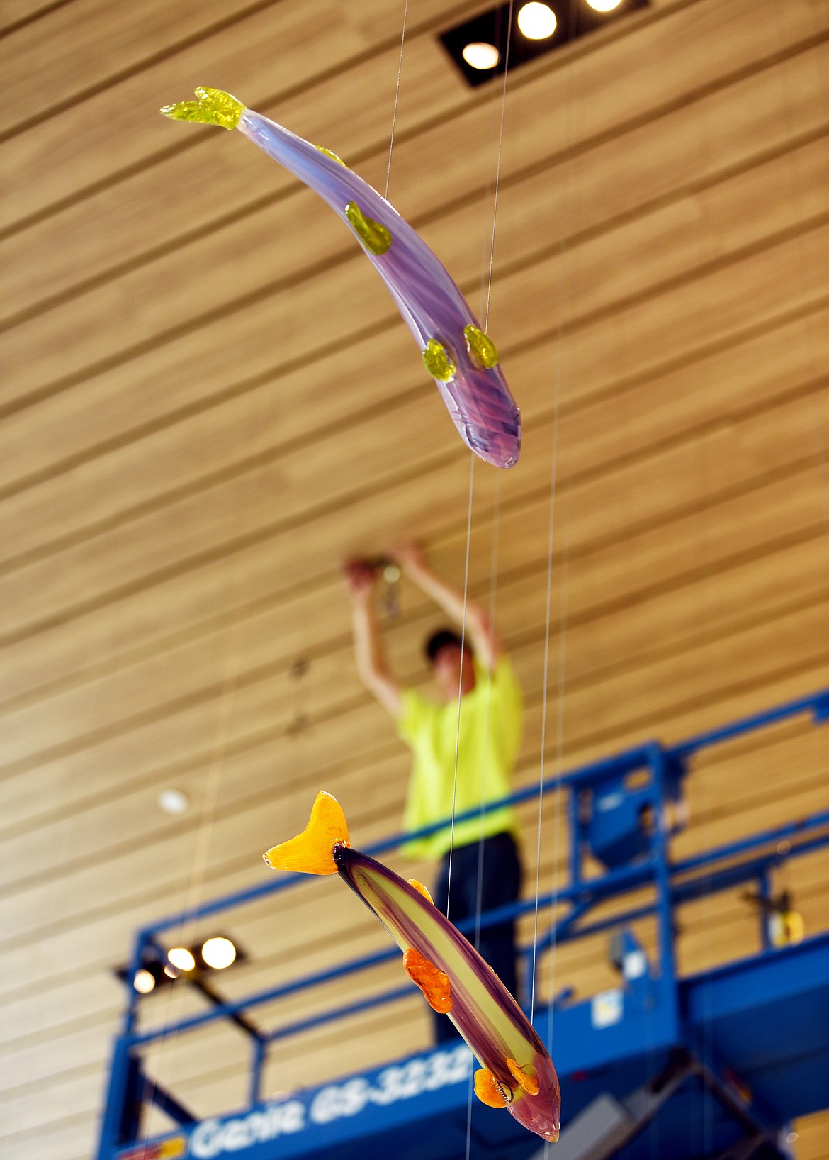 Detail of one of about sixty glass fish by artist George Bland being installed at Montana Children&#146;s at Kalispell Regional Medical Center on Friday, May 31. Bland said that each fish take about 3 man hours to make.
(Brenda Ahearn/Daily Inter Lake)