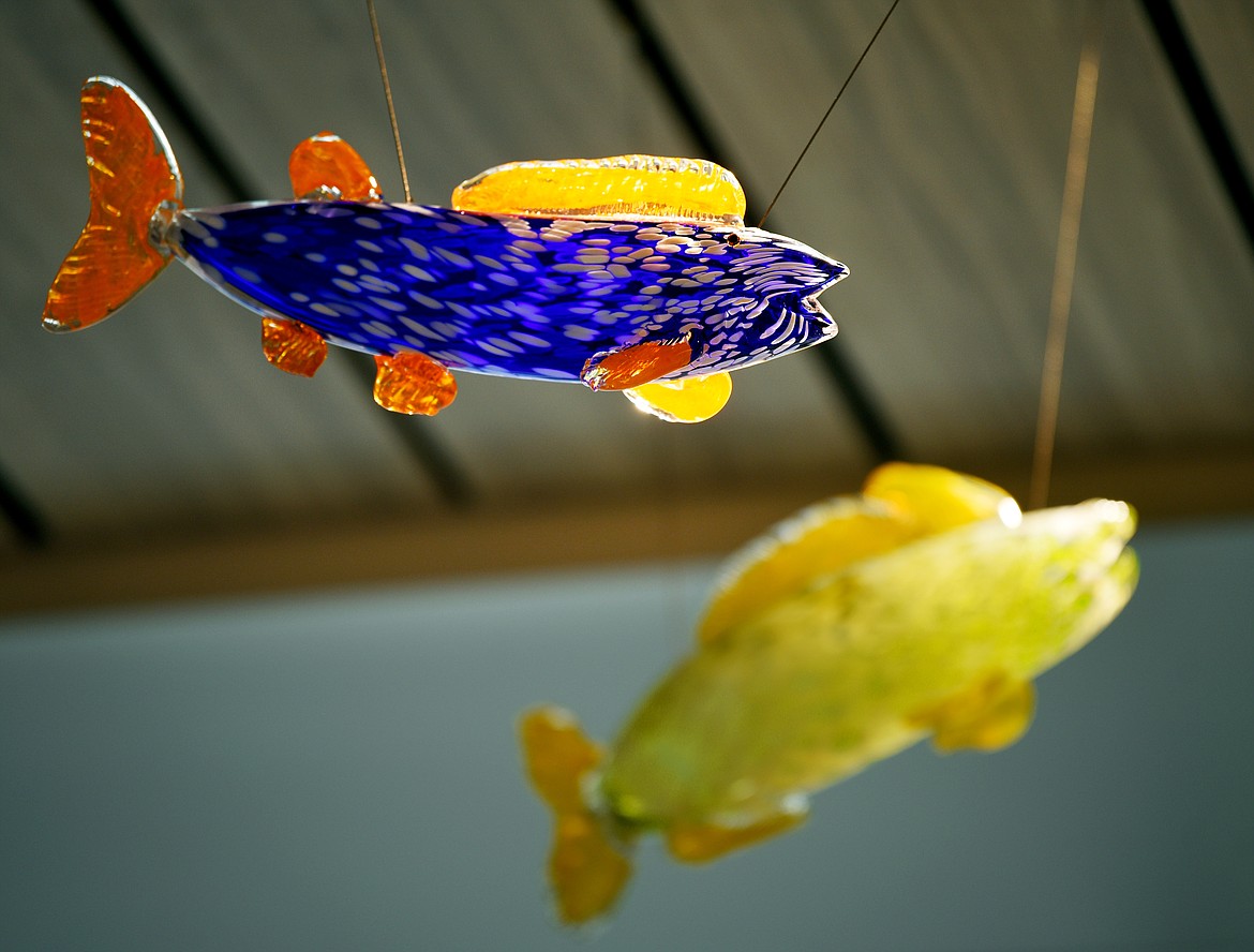 Detail of some of the glass fish already hung at Montana Children&#146;s. Steven Personette, of Lilienthal Installation Co., said these are his two favorites because he was able to hang them directly under some of the lighting in ceiling, which highlights them. Personette pointed out the fish are mirroring the pattern of the river on the floor of the space.
(Brenda Ahearn/Daily Inter Lake)