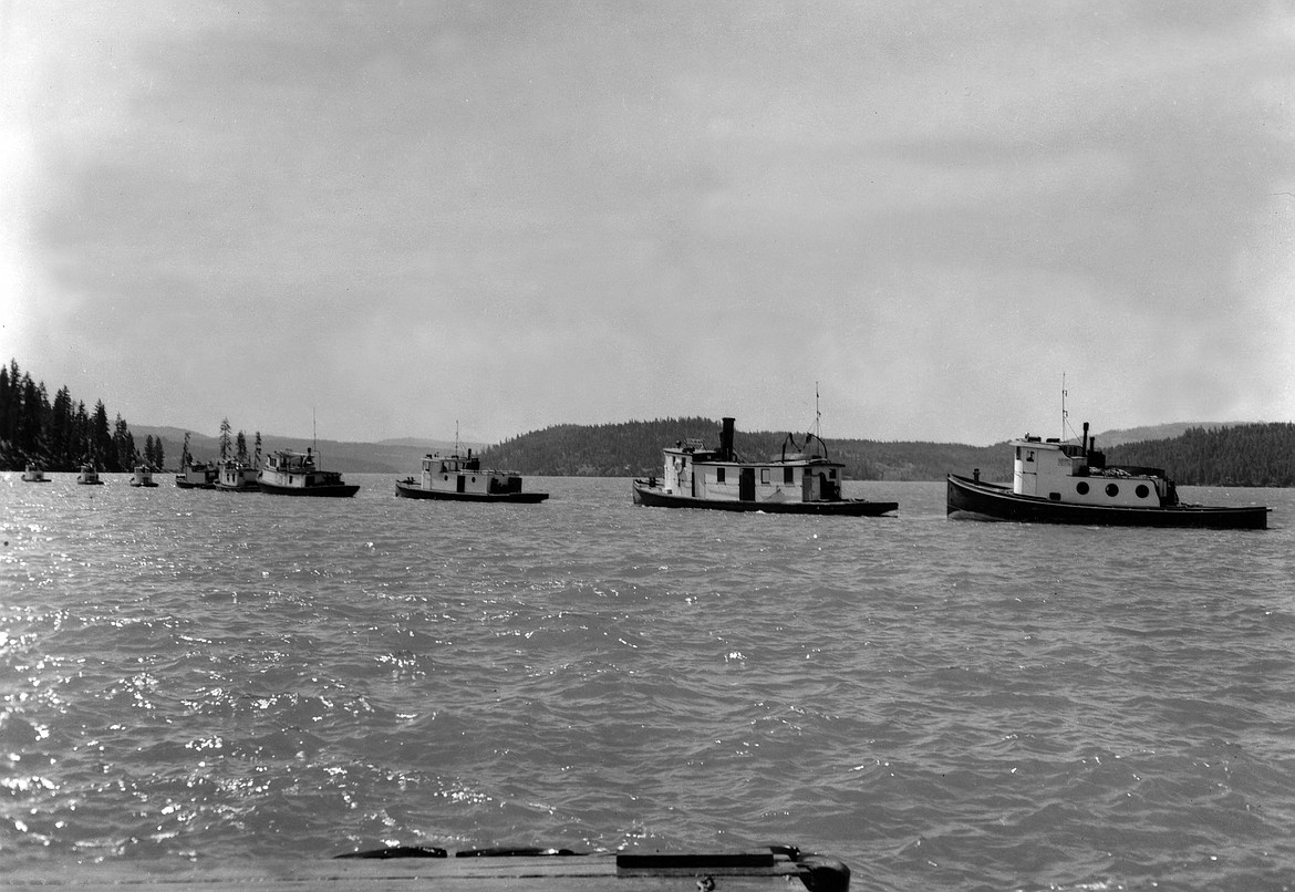 A string of nine Lafferty tugboats stage in front of Tubbs Hill in this undated photograph. 
(Photo courtesy of the Museum of North Idaho)