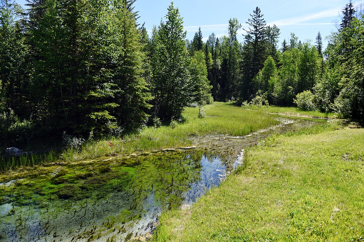 A section of Garnier Creek passes through the property of Sarah Jones and Josh Gleason's property north of Columbia Falls on Wednesday, June 12. (Casey Kreider/Daily Inter Lake)