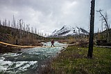 Glacier Park visitation down in May