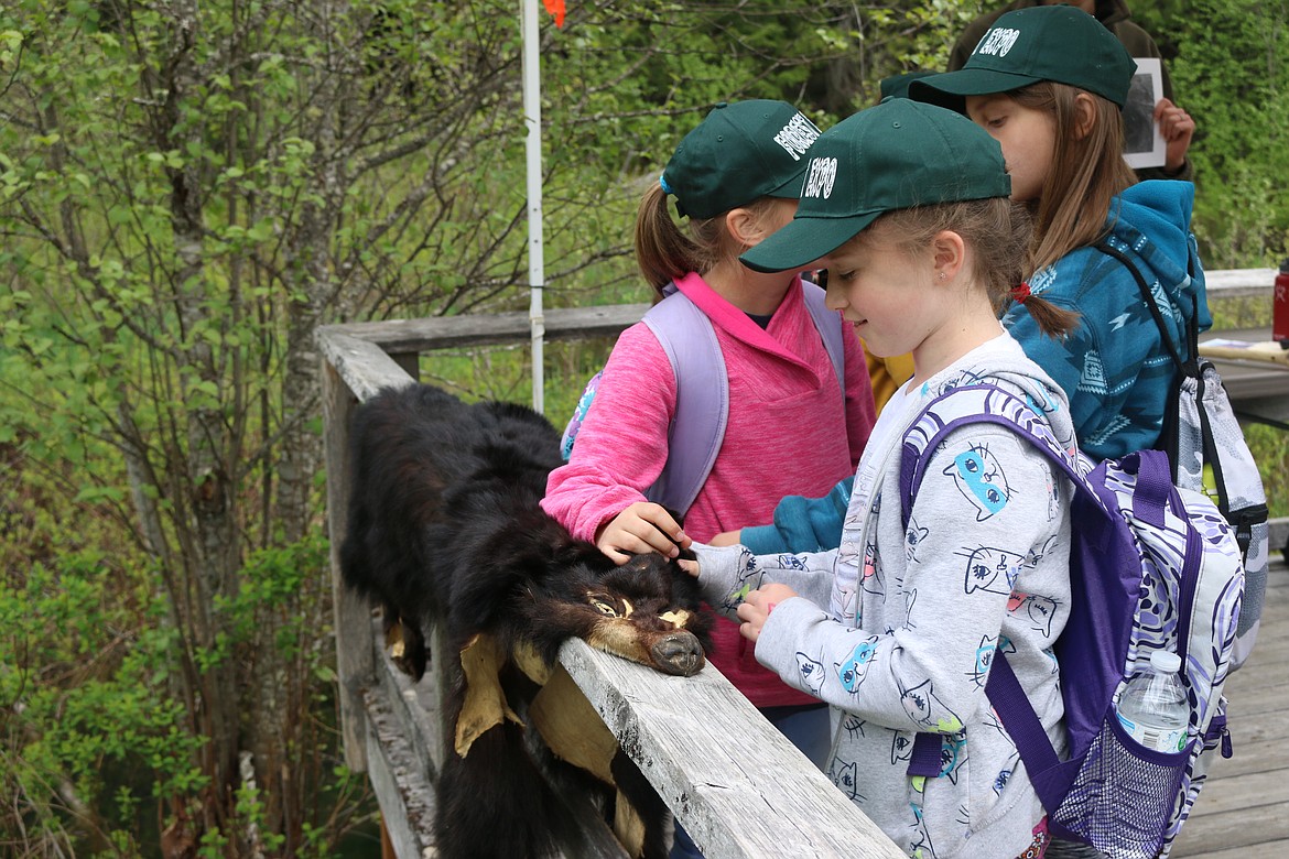 (Photo by MARY MALONE)West Bonner County sixth-graders learned about local wildlife and their habitats during the Priest Community Forest Connection&#146;s annual Forest Expo on May 24 at the Priest River Experimental Forest.