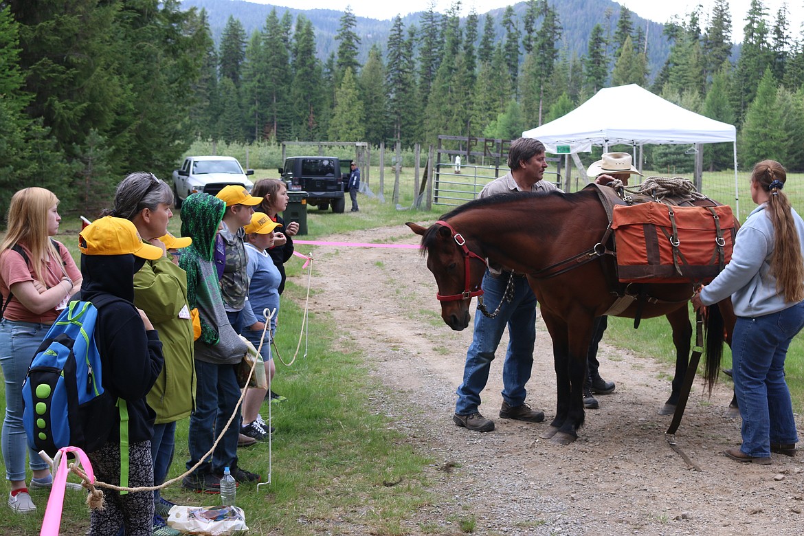 (Photo by MARY MALONE)
The Backcountry Horsement taught Idaho Hill Elementary sixth graders  about pack animals during the Priest Community Forest Connection&#146;s annual Forest Expo on May 24 at the Priest River Experiemental Forest.