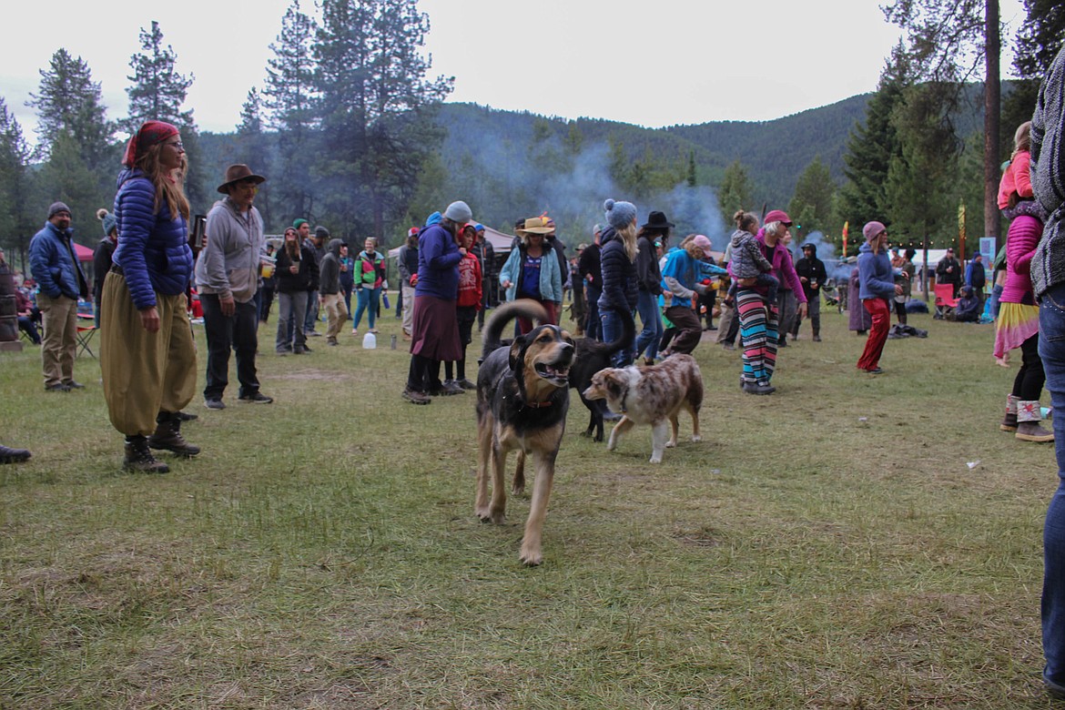 THE SILVERCLOUD Campout is a family- and dog-friendly music festival on the 50,000 Silver Dollar property in Haugan.