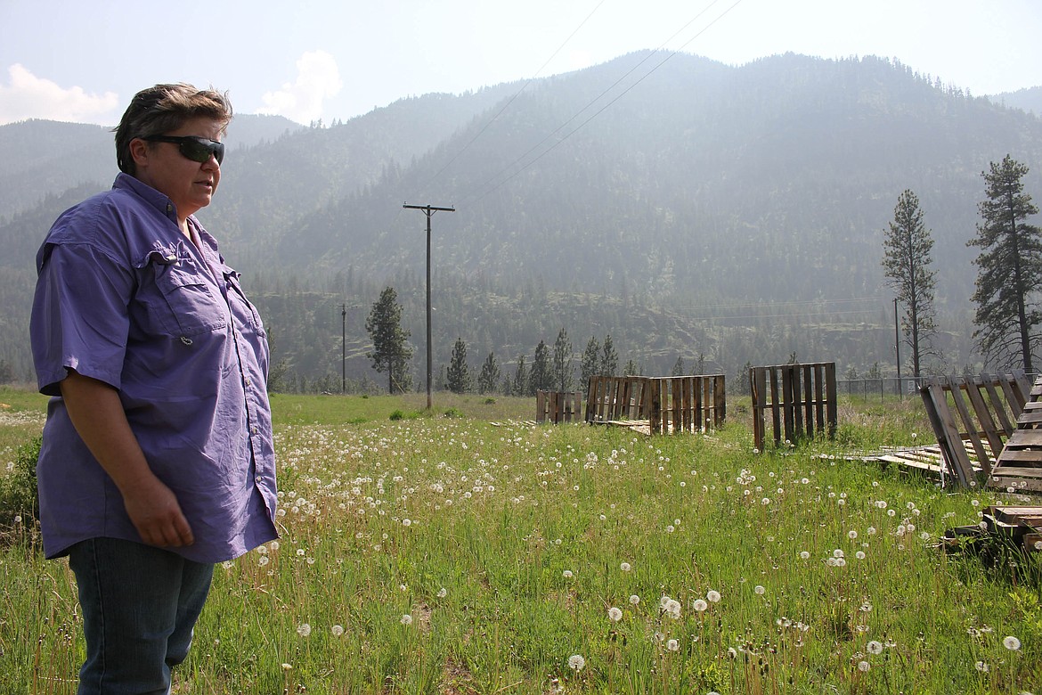 GARDEN ORGANIZER Ang MacDonald looks at the temporary pallet fence built for blocking wind. She hopes to build a permanent chain link fence once the garden receives enough funds.