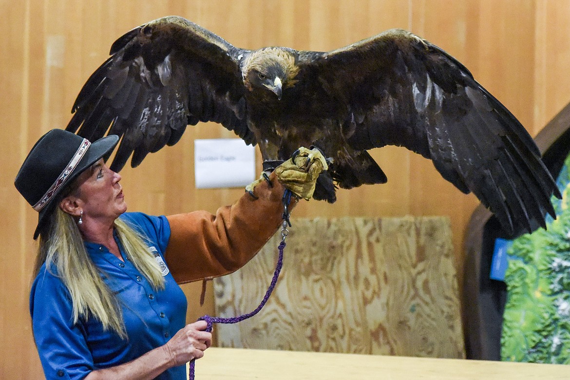 Janie Veltkamp with Birds of Prey Northwest shows audience members the golden eagle, at Birds of Prey Day May 25 at the Libby Dam. (Ben Kibbey/The Western News)