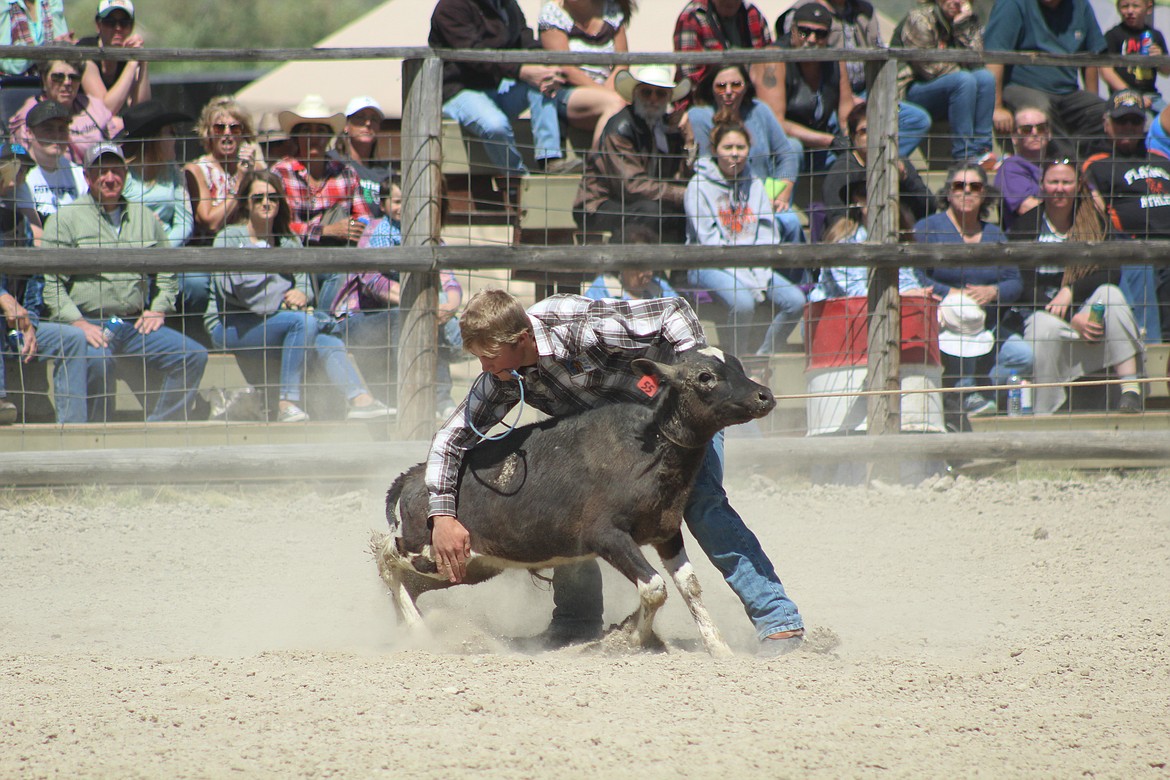 JACK MCALLISTER, of the three competing McAllister boys, participating in the Tie-Down competition on Sunday.