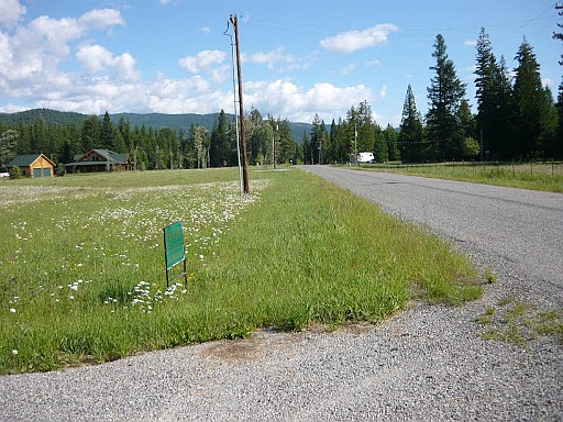 What it looks like when weed control is obtained by spraying county ROW.