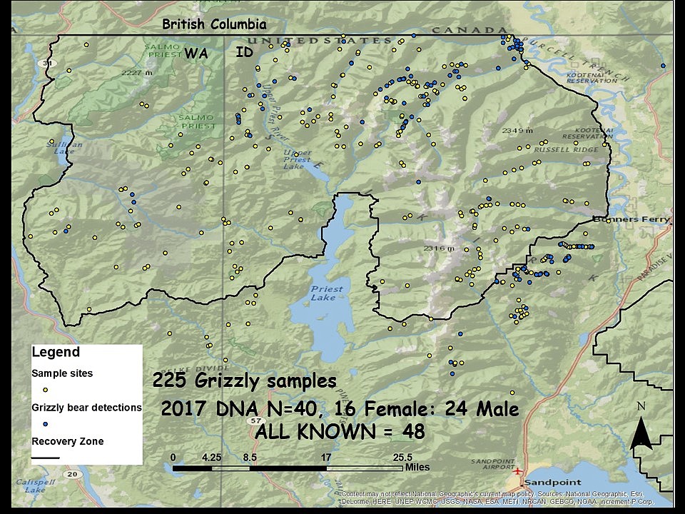 (Courtesy Photo)
Genetic results from Selkirk Mountains 2017 grizzly bear hair snag sampling and additional individuals not detected by hair snag.