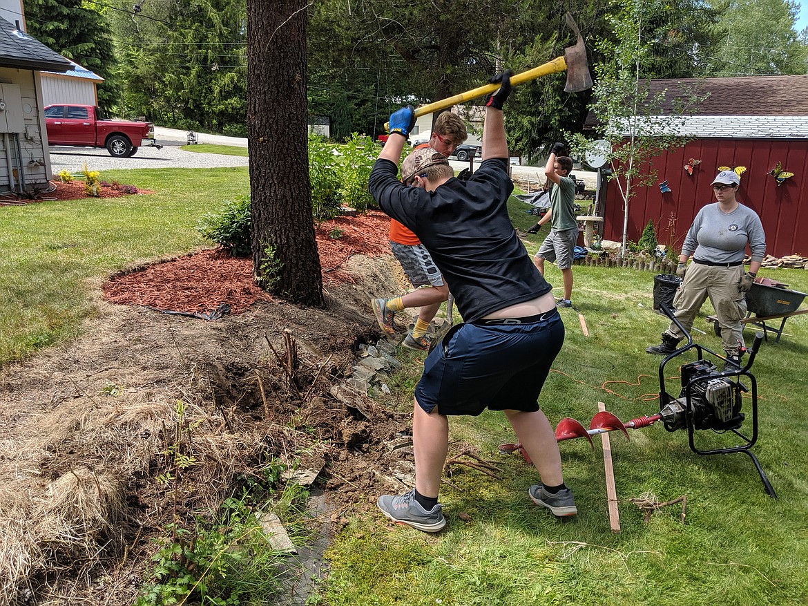 Parker Meyer takes a big swing with a Pulaski at a stubborn rock buried in the old fence line.