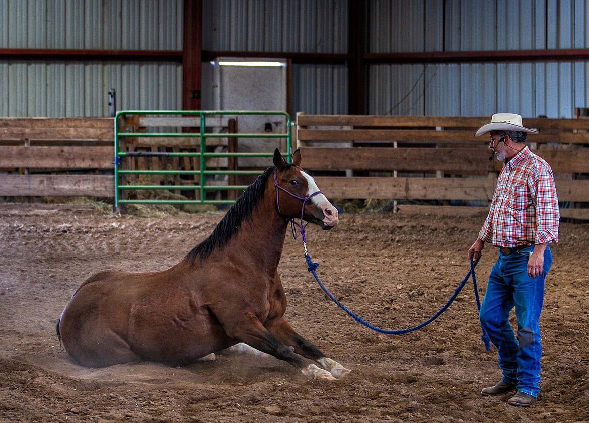 Herd 2 Human creator Jeff Patterson, of Missoula, leads participants of a Valor Equine Therapy Service workshop through an equine therapy session in the spring of 2018. (Photo courtesy of Bret Bouda/Digital Broadway)