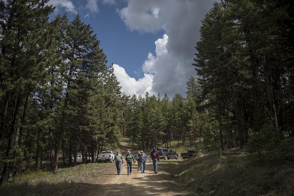 Attendees of a U.S. Forest Service led field trip walk through the proposed Ripley Project area. (Luke Hollister/The Western News)