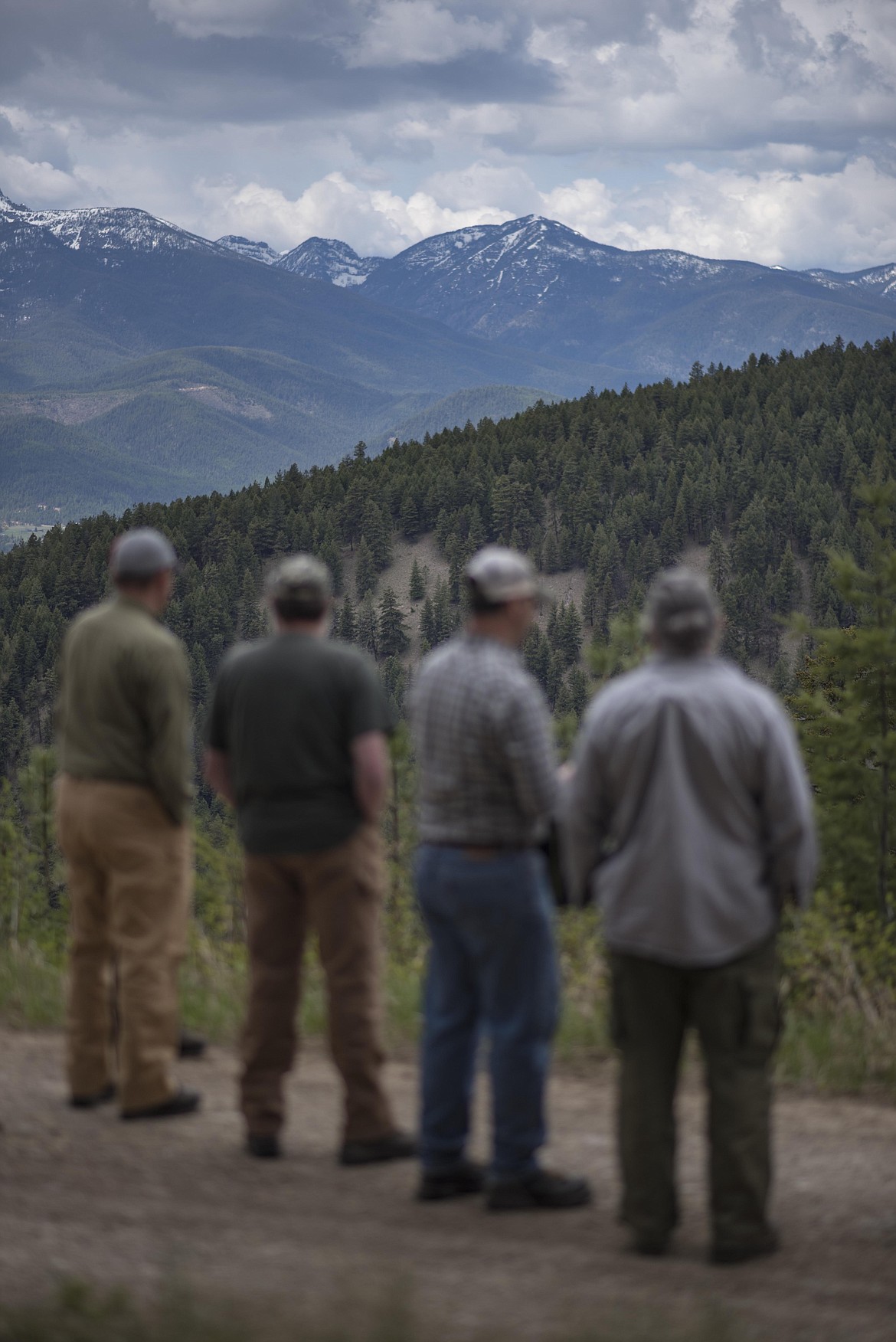 Attendees of a U.S. Forest Service led field trip gaze at trees in the proposed Ripley Project area. (Luke Hollister/The Western News)