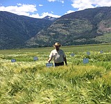 Calling all Boundary County growers