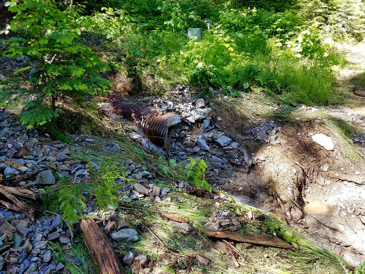 Photo by MARY REHNBORG 
A plugged-up culvert in the Beacon Light Road area of Mullan.