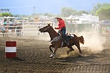 Boundary County Fairgrounds bans horses amid EHV-1 concerns