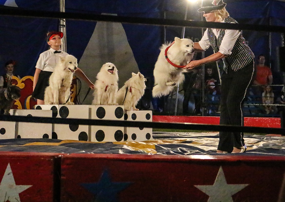 Photo by MANDI BATEMAN
The performing dogs were a favorite of the children.