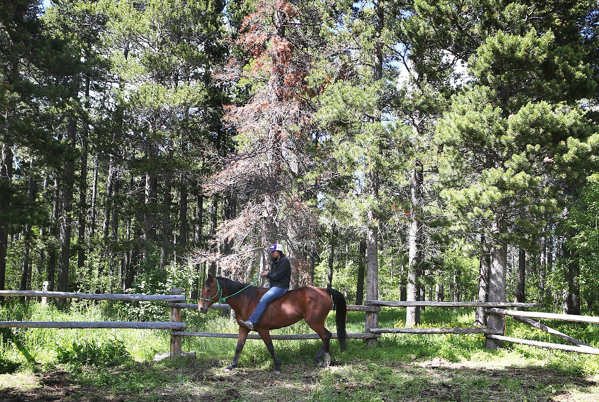 Shaylea Tatsey, 25, rides Houdini at Glacier Gateway Trailrides in East Glacier Park on Monday, June 24. (Mackenzie Reiss/Daily Inter Lake)