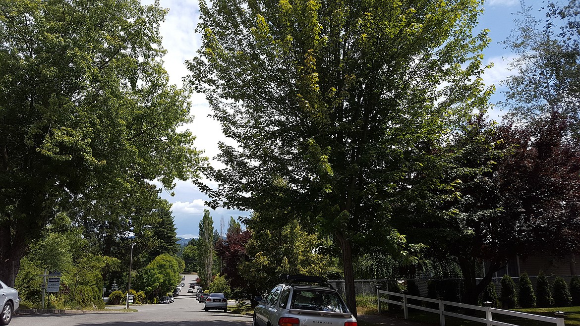 A neighborhood within walking distance of Coeur d'Alene's downtown amenities. (TYLER WILSON/Press)