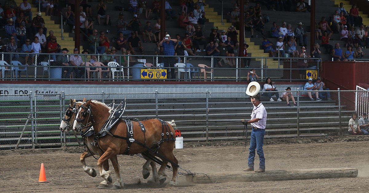 Draft Horse and Mule Show inaugurates Coeur d'Alene Coeur d'Alene Press